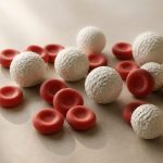 Red and white blood cell models on table - illustration for Hematology Clinics: Blood Disorders and What to Expect