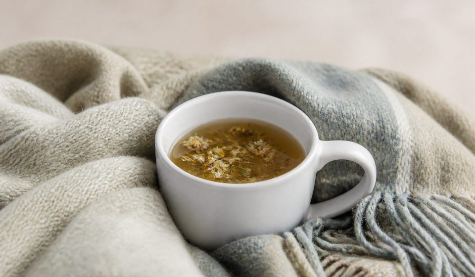 White ceramic mug with herbal tea and blanket - illustration for How proper rest boosts muscle repair and overall health