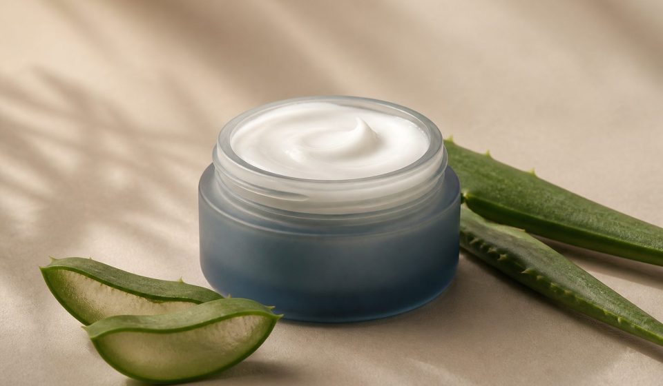 Jar of moisturizer with aloe leaves - illustration for What Is a Skin Clinic? Treatments, Services & What to Expect